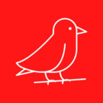 A Robin Rambling – Wigan defeat