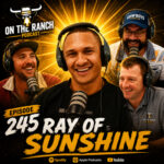 Ray of Sunshine